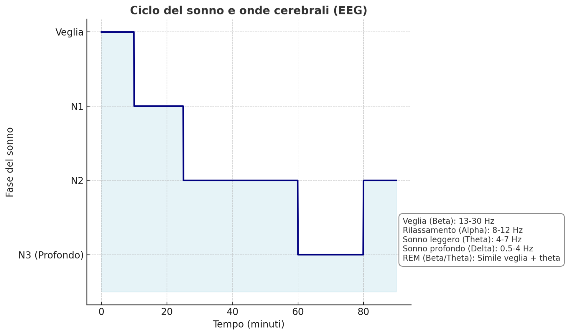 Il ciclo del sonno
